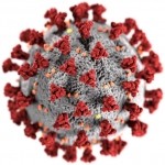 Corona Virus