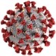 Corona Virus