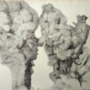 Hardy Langer