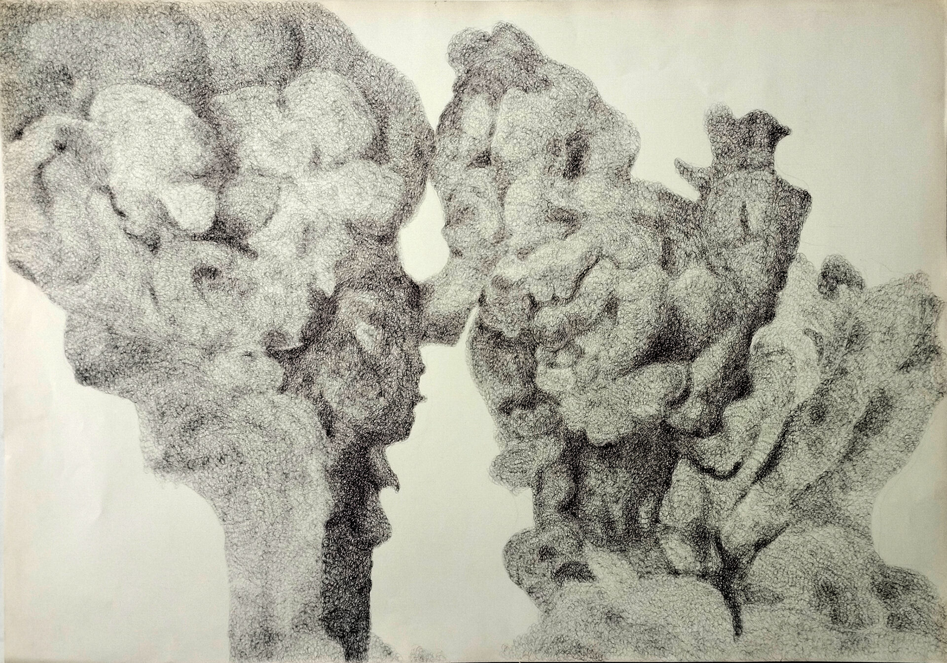 Hardy Langer